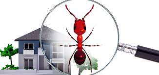 Published byglenna susman modified over 2 years ago. Consumer Vs Professional Fire Ant Control Products