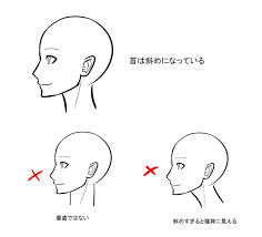 上半身のバランスを整えるキーパーツ 首の描き方 いちあっぷ 描き方 イラスト イラスト 書き方