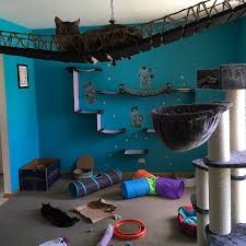 Providing lots of different smells will. Cat Rooms In Houses