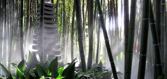 Als botanischer garten am gardasee ist der von andre heller neu gestaltete park der fondazione andre heller bekannt. Der Garten Von Andre Heller Bambusborse