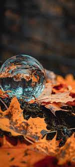 Over 40,000+ cool wallpapers to choose from. Samsung Galaxy A70 Wallpapers Autumn Leaves Wallpaper Leaf Wallpaper Wallpaper Backgrounds