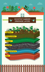 We can still grow stuff! Raise The Roof How To Plant A Rooftop Garden Gardening