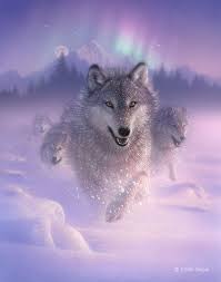 What S New Wolf Running Wolf Painting Wolf Pictures