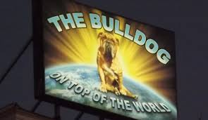 Amazon's choice customers shopped amazon's choice for… smoothie cup. Amsterdam Coffeeshop Review Bulldog In Leidseplein