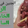 Jun 23, 2021 · الشهر الخامس من الحمل والجماع عالم حواء. 1