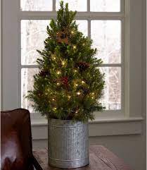 Christmas Reindeer Live Tree With Lights Easter Decorations Outdoor Holiday Decor Christmas Christmas Reindeer