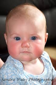 Sandra Wales Photography