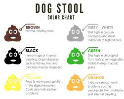 Dog Stool Color Chart Stool Color Chart Stool Chart Stool