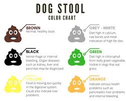 dog stool color chart stool color chart stool chart stool