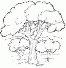 Plus, it's an easy way to celebrate each season or special holidays. Trees Free Printable Coloring Pages For Kids
