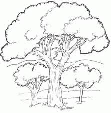Family tree coloring pages printable. Trees Free Printable Coloring Pages For Kids