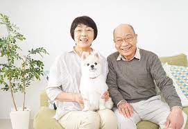 Acat undertakes a comprehensive assessment of care needs for older people needing access to residential and/or home (community) care, and helps the elderly and their carers to. 5 Things To Look For When Choosing A Home Care Package Provider Good Lives For Older People Ach Group