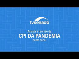 A seguir 19:30 brasil em pauta. Cpi Da Pandemia Ouve O Reverendo Amilton Gomes De Paula Tv Senado