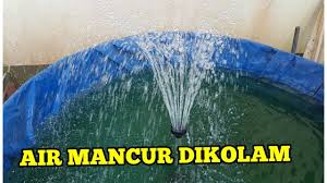 Desain air terjun dinding untuk rumah minimalis modern. Cara Pemasangan Air Mancur Di Kolam Pekarangan Rumah Youtube