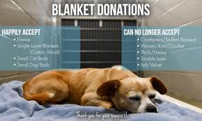 Come meet alaska spca's pets. Our Wishlist Sacramento Spca