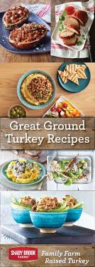 The burgers can be served with tomato and lettuce as a wrap, as pictured here, topped with avocado and onion. Ground Turkey Recipes Shady Brook Farms Turkey Lunch Recipes Healthy Ground Turkey Recipes Healthy Recipes