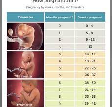 39 weeks 0 days to 40 weeks 6 days. 25 Weeks Is How Many Months Babycenter