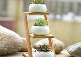 Bamboo in a pot will generally stay very well contained, without the rhizome roots getting into your vegetable patch or wrapping around underground things like irrigation pipes and utility lines. 10 Tiny Gardens You Can Grow On Your Windowsill Bob Vila