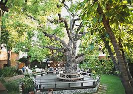 Monster List Of Pasadena Wedding Venues Socal Wedding Venues Wedding Venue Los Angeles Wedding Venues California Los Angeles