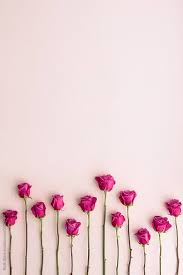 17 Ideas Wall Paper Iphone Vintage Flowers Tumblr Pink Roses Pink Flowers Wallpaper Flower Background Iphone Flower Wallpaper
