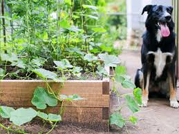 Choose from many topics, skill levels, and languages. How To Garden With Raised Beds In A Greenhouse Greenhouse Hunt