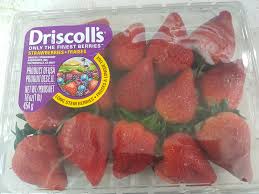Very flavorful, long stem strawberries have beautiful deep red coloring with vibrant green stems and leaves. Driscoll S Long Stem Strawberry Food Drinks Packaged Instant Food On Carousell