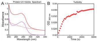Ultraviolet radiation in the shortest wavelength band breaks down dna and rna, so it's a great way to kill off any nasties that ar. Molecules Free Full Text Evaluation Of Peptide Protein Self Assembly And Aggregation By Spectroscopic Methods Html
