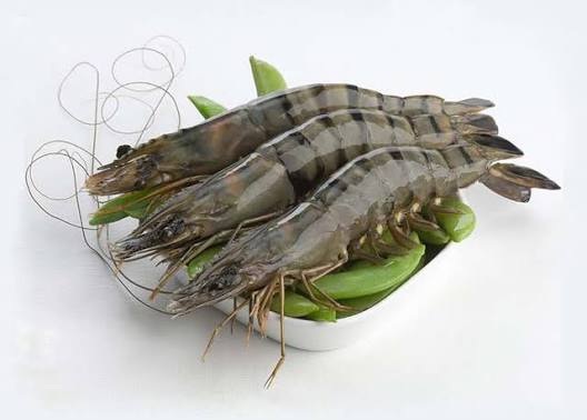চিংড়ি মাছ