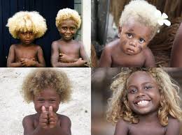 Resultado de imagen para melanesia