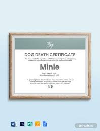 African Dog Cert Template Net In 2020 Certificate Templates Death Certificate Certificate