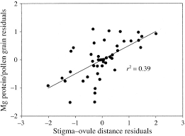 First and most importantly we show up when we say will show up and we do what we say we're going to do. What Governs Protein Content Of Pollen Pollinator Preferences Pollen Pistil Interactions Or Phylogeny Roulston 2000 Ecological Monographs Wiley Online Library
