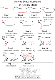 Check spelling or type a new query. Drawing Step By Step Leopard Novocom Top