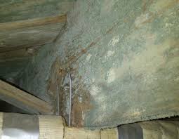 Mar 01, 2021 · how to kill mold in crawl spaces: Crawl Space Mold Remediation