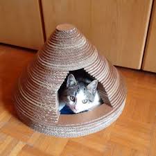 Kedi Evi Yapimi Google Da Ara Casa De Gato De Papelao Cama De Gato Faca Voce Mesmo Brinquedos De Gato Diy