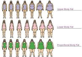 I Love Geeks Female Body Type Chart