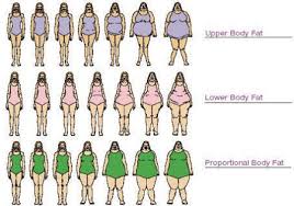 i love geeks female body type chart