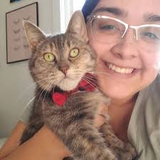 Another one from me sorry 🙄 Any recommendations for a cattery?