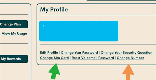 Check spelling or type a new query. Solved Sim Not Provisioned For Voice Community