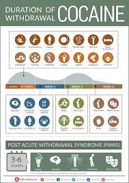 the duration of cocaine withdrawal timeline