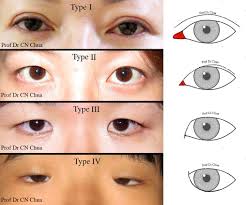 Pin By Tyishia Brown On Makeup And Beauty Epicanthic Fold Eye Shapes Wide Set Eyes