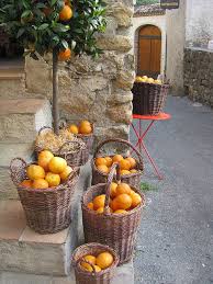 Le Mas Des Orangers Biot Avec Images Provence Cote D Azur Campagne Francaise