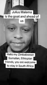 Trevor Noah Julius Malema Underscore