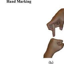Marking From Kirsh 2013 Download Scientific Diagram