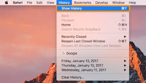 Clear your browsing history in safari on mac you can remove all records that safari keeps of where you've browsed during a period of time you choose. How To Delete Your Safari Web Browsing History For Specific Days