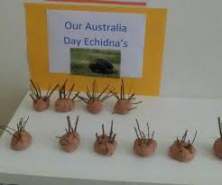 Australia Day Clay Ecidhnas Australia Day Craft Preschool Australia Kids Crafts Australia Day