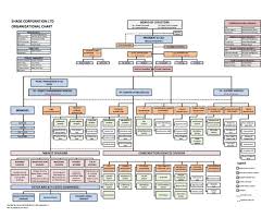 Construction Project Management Organization Chart Template