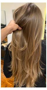 The Best Hair Color Trends And Styles For 2020 Light To Dark Hair Lighttodarkhair Looking For Hair Dye Col In 2020 Honey Blonde Hair Hair Color Trends Hair Styles
