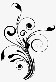We did not find results for: White Flower Vector Png Flower Wall Mural Yellow Black Free Transparent Png Download Pngkey