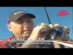 Facts of Fishing Tip