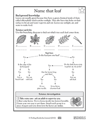 These worksheets are appropriate for third grade math. 3rd Grade Science Worksheets Word Lists And Activities Page 6 Of 10 Greatschools